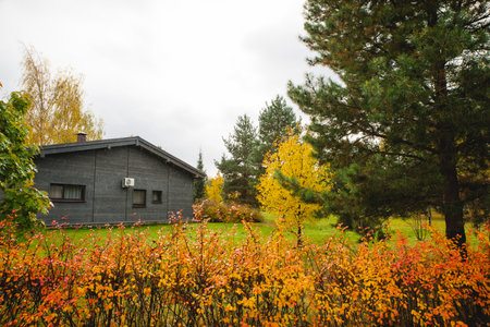 Autumn landscape with beautifully colored forest, evergreen pine trees and a stormy sky
