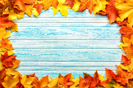 fallen leaves on wooden background, top view, copy spaceの写真素材
