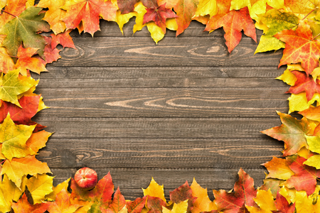 fallen leaves on wooden background, top view, copy spaceの写真素材