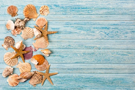 Summer sea background - shells, star on a wooden blue backgroundの写真素材