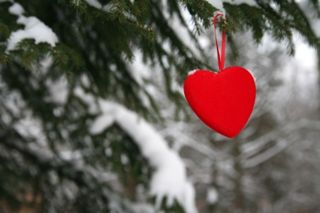 christmas tree and red heartの写真素材