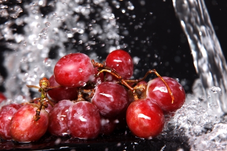 fresh red grape under water splash の写真素材