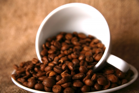 cup, dish and beans of coffeeの写真素材