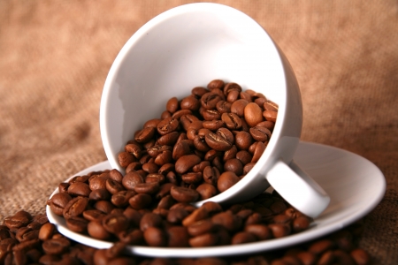 cup, dish and beans of coffeeの写真素材