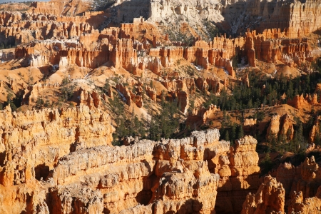 Bryce canyon, Utah, USA