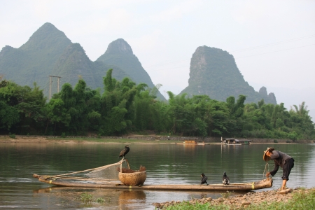 Chinese man fishing with cormorants birds, Yangshuo, Guangxi region, traditional fishing use trained cormorants to fishのeditorial素材