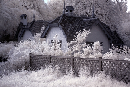 Hyde Park, London, England の写真素材