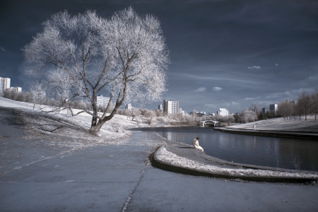 City, tree, riverの写真素材