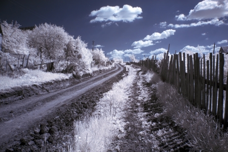 Rural roadの写真素材