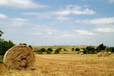 Rural field with circular hay balesの写真素材