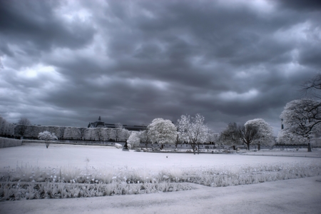 Paris garden viewの写真素材