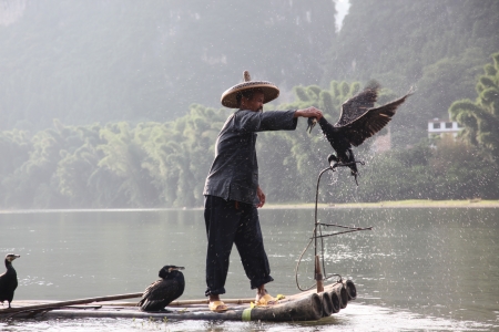 YANGSHUO - JUNE 18: Chinese man fishing with cormorants birds in Yangshuo, Guangxi region, traditional fishing use trained cormorants to fish, June 18, 2012 Yangshuo in Guangxi, Chinaのeditorial素材