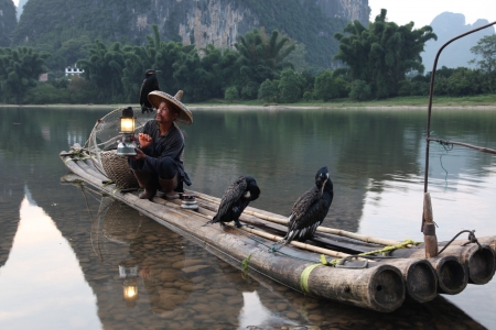 YANGSHUO - JUNE 18: Chinese man fishing with cormorants birds in Yangshuo, Guangxi region, traditional fishing use trained cormorants to fish, June 18, 2012 Yangshuo in Guangxi, Chinaのeditorial素材