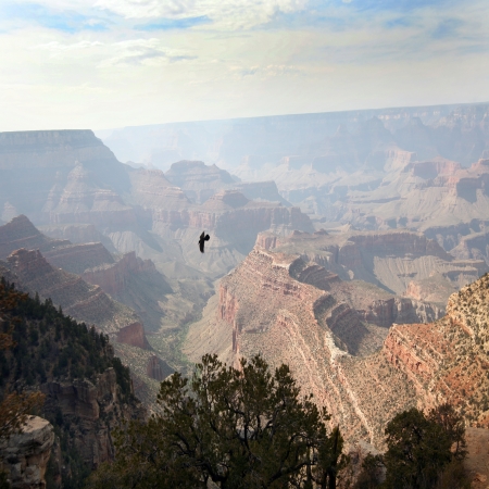 Ggrand canyon, Arizona, USAの写真素材