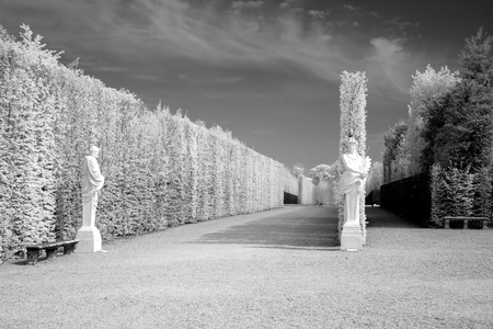 The Park at Versailles in Paris, Franceのeditorial素材