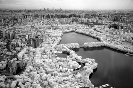 Aerial view to Beijing, Chinaの写真素材