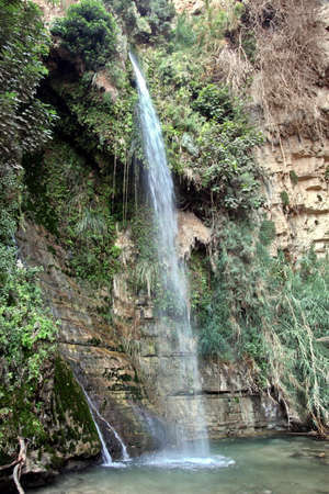 Waterfall in national park Ein Gedi near the Dead Sea in Israelの写真素材