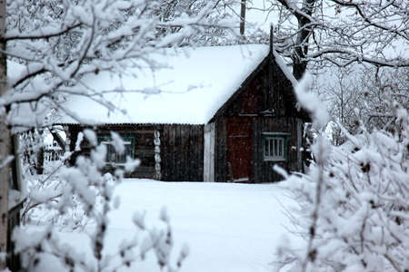 The Rural area under snowfallの写真素材