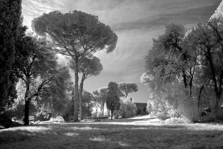 The Palatine Hill, which is the centremost of the Seven Hills of Rome, Italyの写真素材