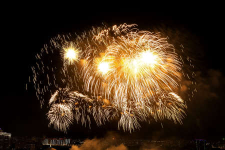 Holidays Fireworks at night skyの写真素材