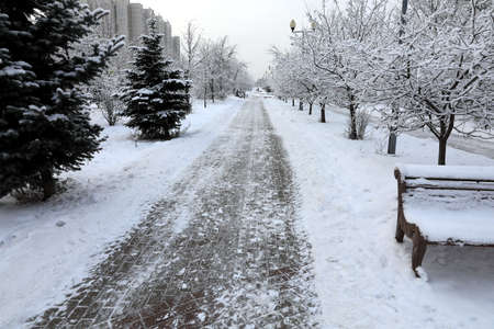 Winter in Moscow, Russiaの写真素材