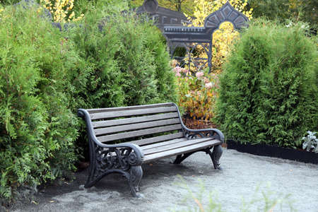 Autumn in park or gardenの写真素材