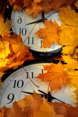 Wall clock with a white dial on a background of autumn leaves.