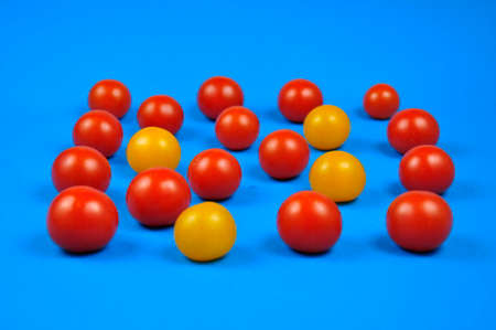 Yellow and red cherry tomatoes. Blue backgroundの写真素材
