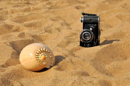 An old black camera and a seashell on the sand.の写真素材