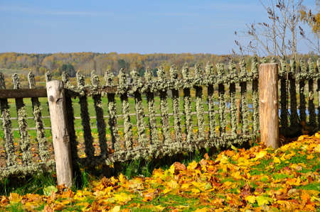 Autumn in the village. Wooden rustic fence covered with moss.の写真素材