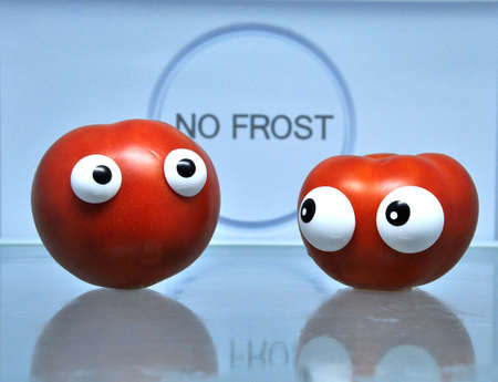 Refrigerator close up with tomatoesの写真素材