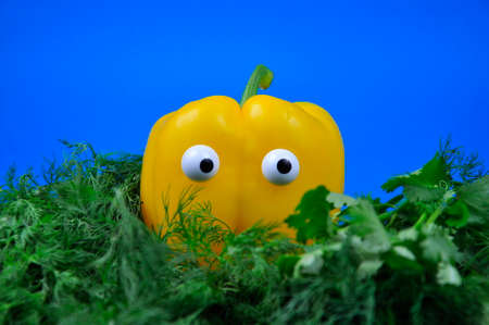 Healthy food concept. Yellow sweet bell pepper with dill and cilantro.の写真素材