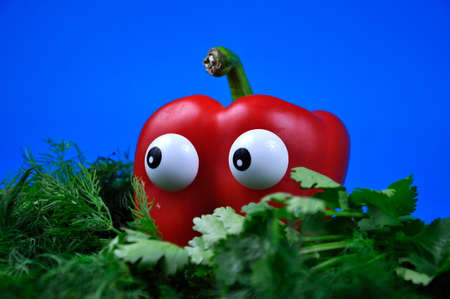 Healthy food concept. Red sweet bell pepper with dill and cilantro.の写真素材