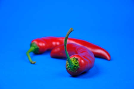 Fresh chili pepper on a blue background.の写真素材