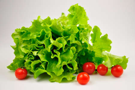 Green Lettuce leaves and Red Cherry Tomatoes.の写真素材