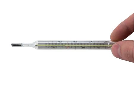 Someone is holding glass thermometer, it's normal human temperature - 36.6. Isolated on white