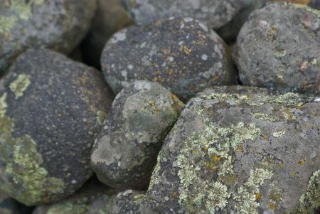 Close up of lichen-covered rocks