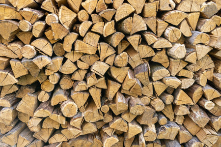 A stack of freshly cut firewood, prepared for the winter. This image can be useful for any projects related to the theme of heating, home comfort, ecology and natural resources.の写真素材