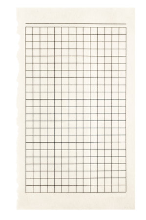 Sheet of white checkered paper torn from a notebook, isolated. Detached section of grid paper.の写真素材