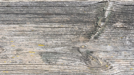The textured surface of aged wood displays a variety of grain patterns and weathering effects, showing nature's artistry. Ideal for use in design or crafts.の写真素材