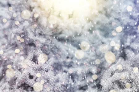 Sunlit decorated Christmas tree in a snowy winter forest, with falling snow and a soft, blurred background.の写真素材