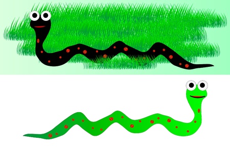 illustration of a  snake in grass and snake on white backgroundのイラスト素材