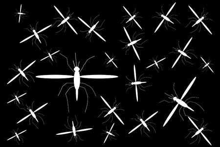 Mosquitoes on black background, illustrationのイラスト素材