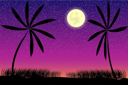Tropical night with palms, moon and starsのイラスト素材