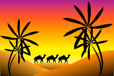 Sunset in desert with palms and camelsのイラスト素材