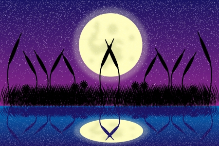 Illustration of lake night scene with grass silhouetteのイラスト素材