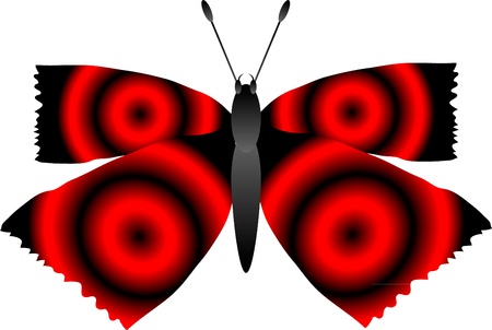 Image of a butterfly isolated on white backgroundのイラスト素材