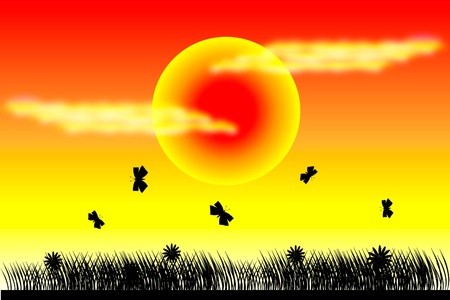 Butterflies and silhouette grass at sunset backgroundのイラスト素材