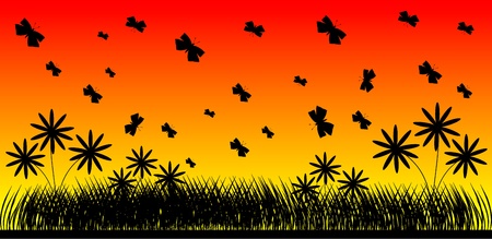 Flowers and the butterfly at sunset background - vectorのイラスト素材