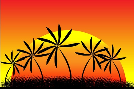 Vector illustration of a tropical sunset and palm treesのイラスト素材
